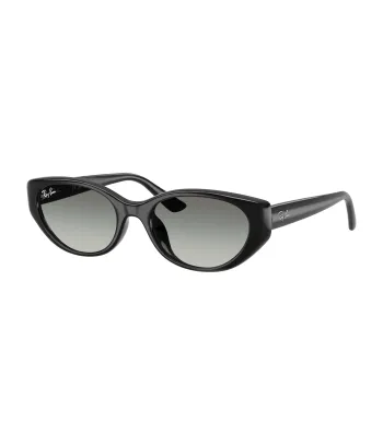 Ray-Ban RB4457D 667711 Unisex Napszemüveg