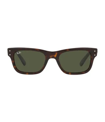 Ray-Ban Mr B. RB2283 902/31 Férfi Napszemüveg