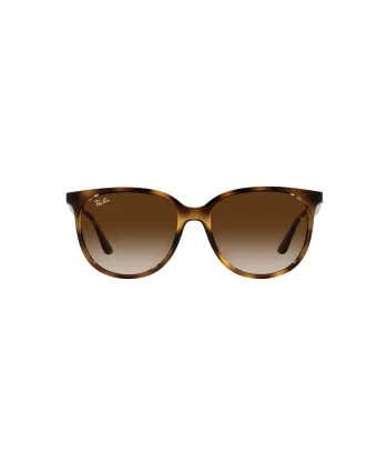 Ray-Ban RB4378 710/13 Női Napszemüveg