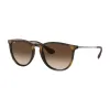 Ray-Ban Erika RB4171 865/13 Női Napszemüveg