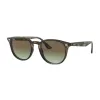 Ray-Ban RB4259 731/E8 Unisex Napszemüveg