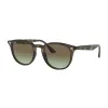 Ray-Ban RB4259 731/E8 Unisex Napszemüveg
