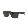 Ray-Ban Justin RB4165 865/87 Férfi Napszemüveg