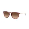 Ray-Ban Erika RB4171 6815A5 Női Napszemüveg