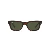 Ray-Ban Mr B. RB2283 902/31 Férfi Napszemüveg