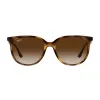 Ray-Ban RB4378 710/13 Női Napszemüveg