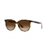 Ray-Ban RB4378 710/13 Női Napszemüveg