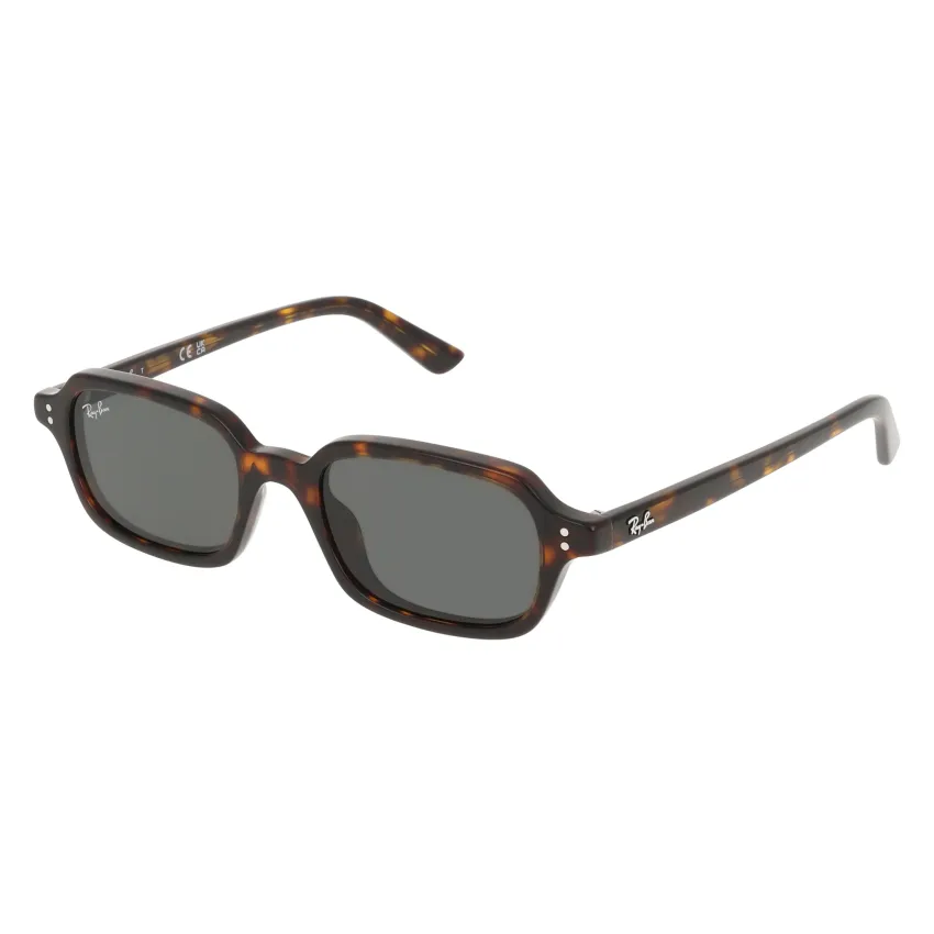 Ray-Ban Zuri RB4455 135987 Unisex Napszemüveg