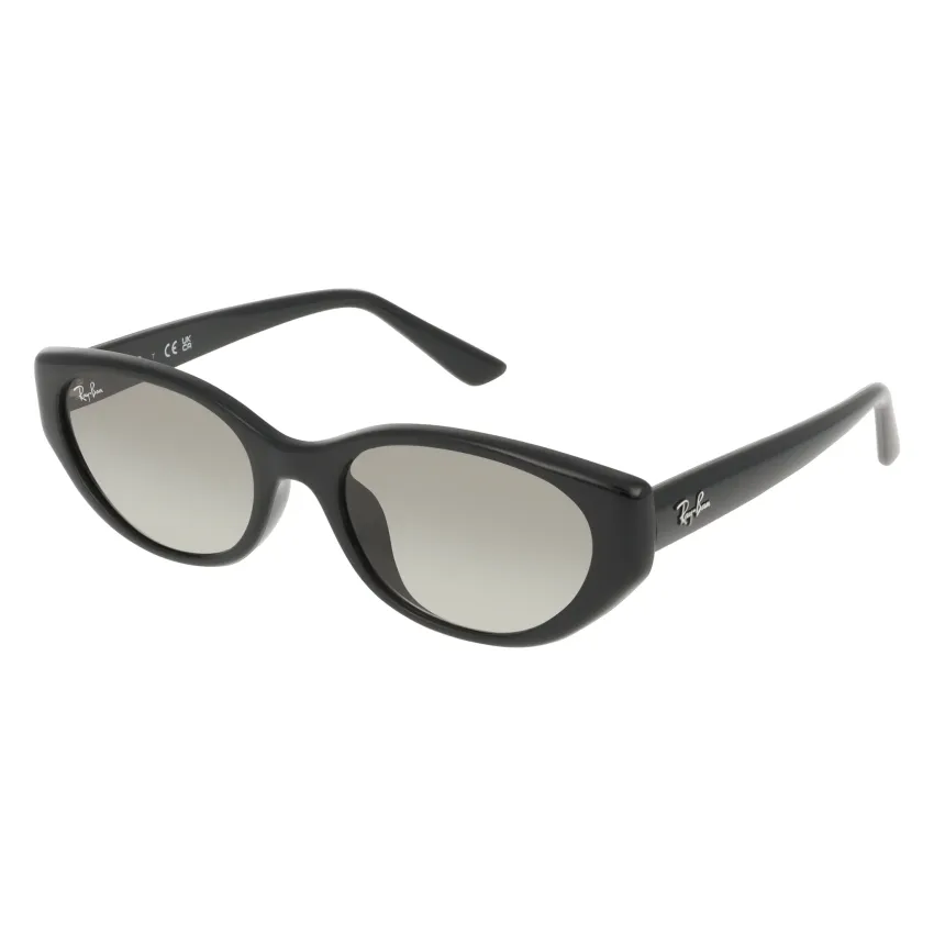 Ray-Ban RB4457D 667711 Unisex Napszemüveg