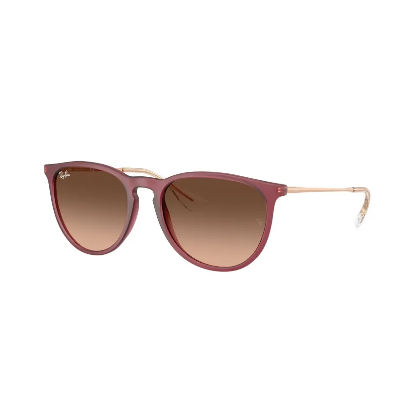 Ray-Ban Erika RB4171 6815A5 Női Napszemüveg