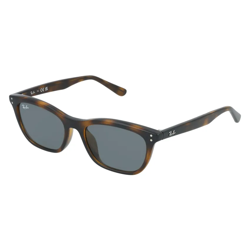 Ray-Ban RB4474D 710/87 Unisex Napszemüveg