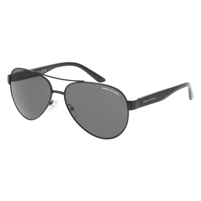 Armani Exchange AX2034S 600087 Férfi Napszemüveg
