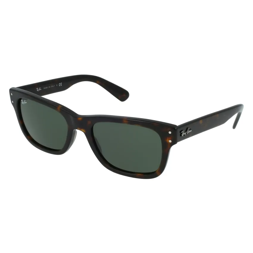 Ray-Ban Mr B. RB2283 902/31 Férfi Napszemüveg