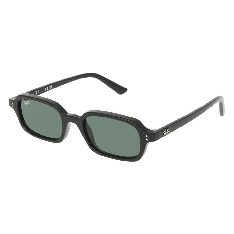 Ray-Ban Zuri RB4455 667771 Unisex Napszemüveg